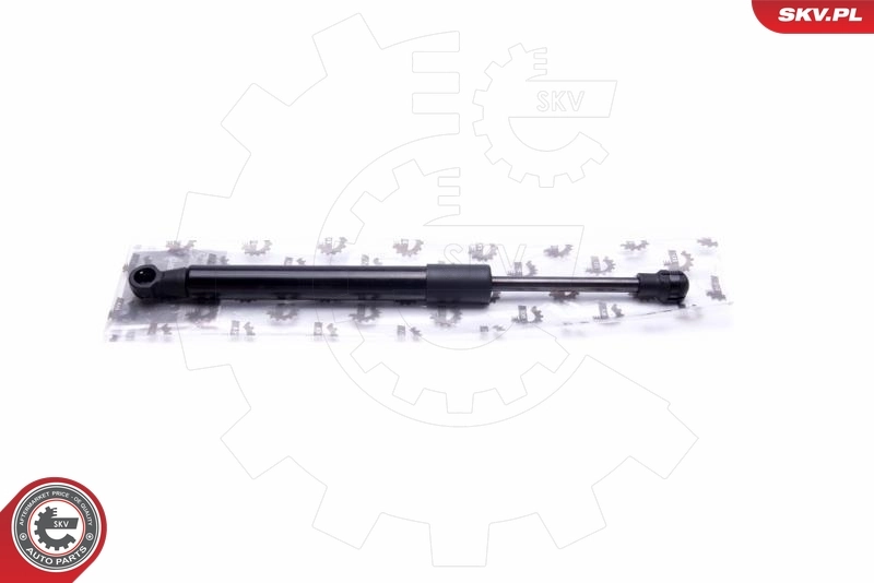 Gas Spring, boot/cargo area